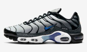 Nike Tn " Kiss my airs "