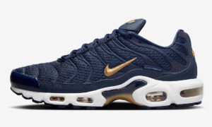 Nike Air Max Plus “French Football Federation”