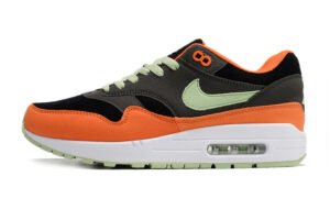 Nike Air Max 1 “Ugly Duckling”