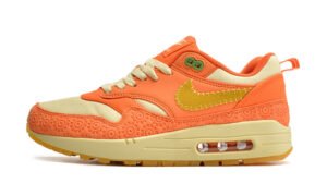 Nike Air Max 1 WMNS “Somos Familia”