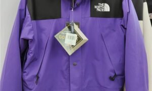 The North Face - gore tex