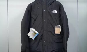 The North Face jacket Gore tex