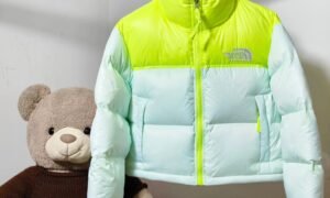 The North Face jacket - courte - Femme