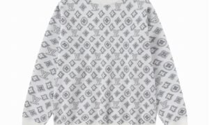 Pull Louis vuitton
