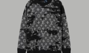 Pull Louis vuitton