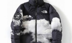Doudoune The North Face 700 "1992"