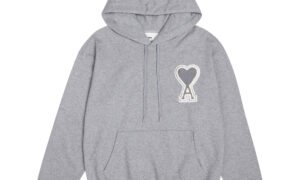 Sweat à capuche - pull -  AMI DE COEUR - gris