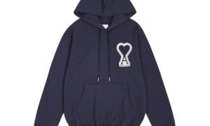 Sweat à capuche - pull -  AMI DE COEUR -