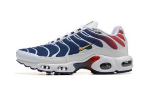 Nike TN Air max plus PSG