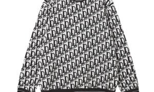 Pull Dior
