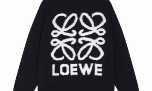 Pull En Laine Loewe