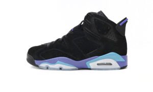 Air Jordan 6 GRAPE