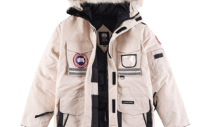 Parka (Veste) Canada Goose Snow Mantra