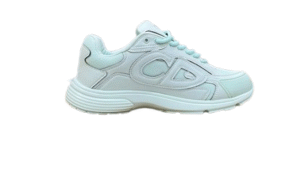 Dior B30.x Stone Island