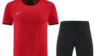 Ensemble Nike ( T Shirt + Short)