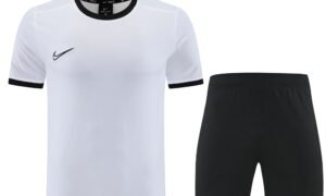 Ensemble Nike ( T Shirt + Short)
